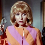 teri garr