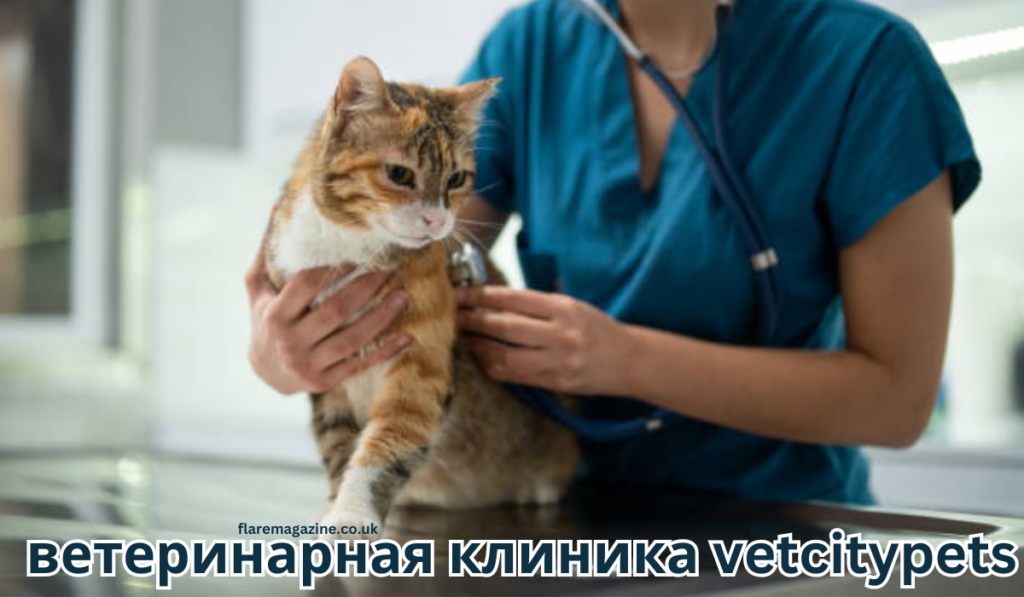 ветеринарная клиника vetcitypets