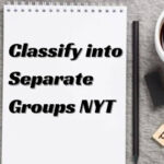 classify into separate groups nyt