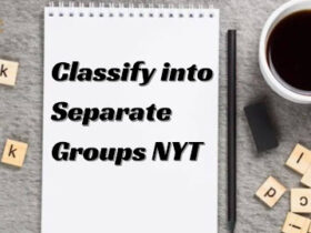 classify into separate groups nyt