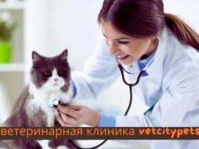 ветеринарная клиника vetcitypets