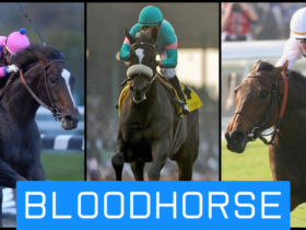 bloodhorse