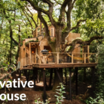 conservative treehouse