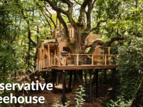 conservative treehouse