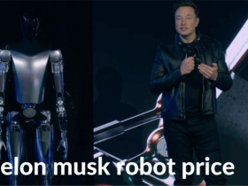 elon musk robot price