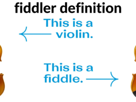 fiddler definition