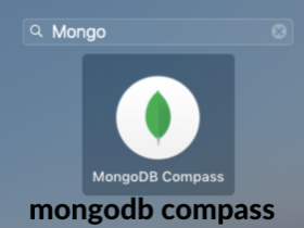 mongodb compass