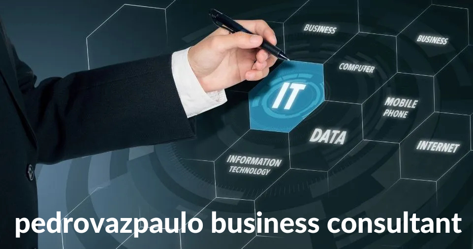 pedrovazpaulo business consultant