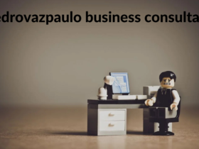 pedrovazpaulo business consultant