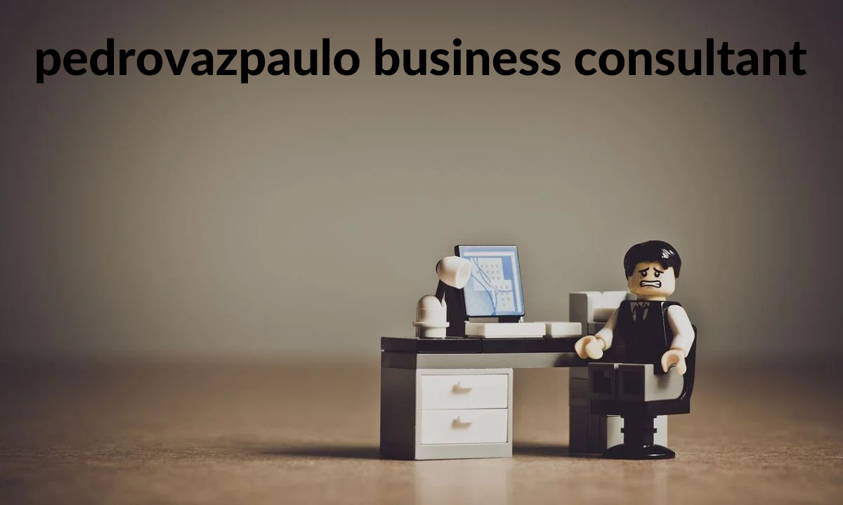 pedrovazpaulo business consultant