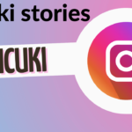 picuki stories