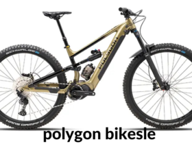 polygon bikes