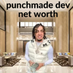 punchmade dev net worth