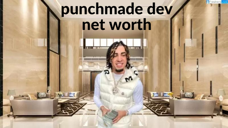 punchmade dev net worth