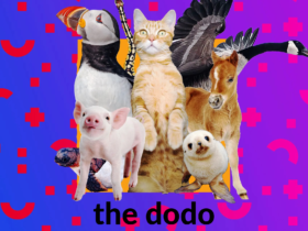 the dodo videos