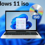 windows 11 iso