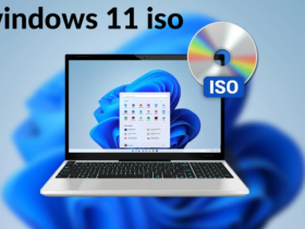 windows 11 iso