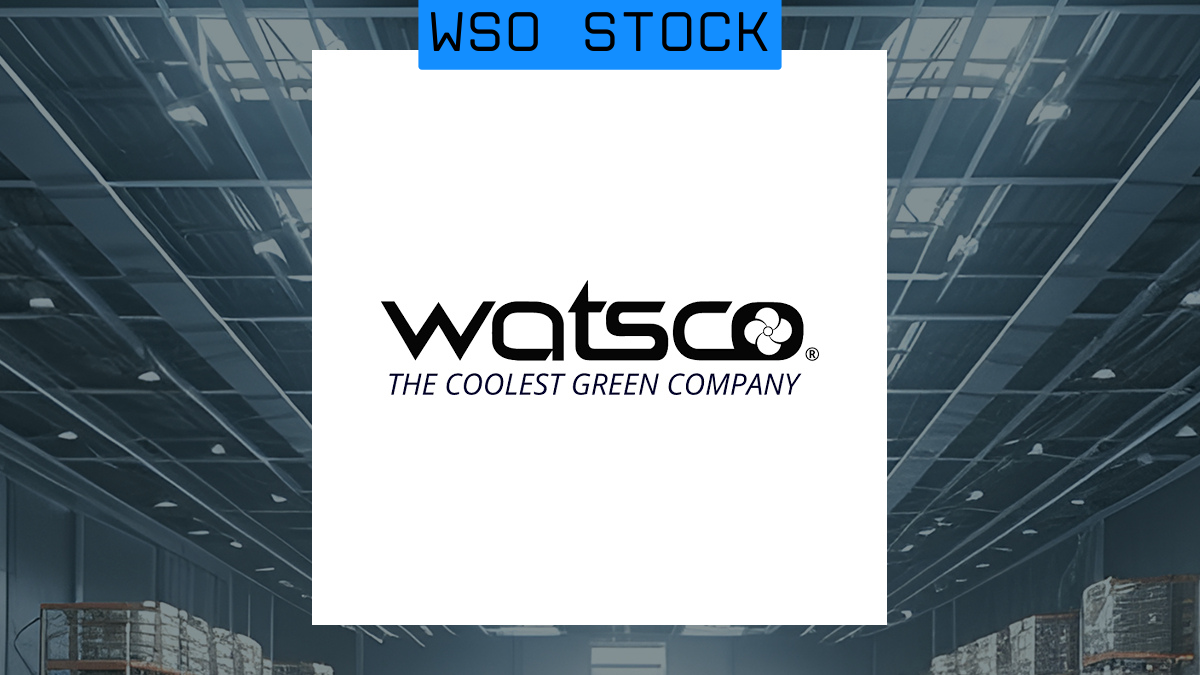 wso stock